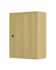 Small Lockable Medicine Storage Cabinet