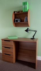 Robust Wall Bookcase