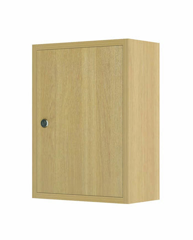 Small Lockable Medicine Storage Cabinet